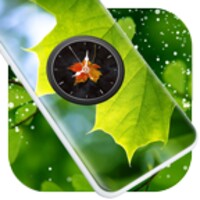 Leaf Clock Live Wallpaper