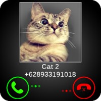 Fake Call Cat Joke