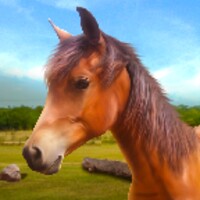 Run Horse Run