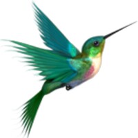 Bird Live Wallpaper
