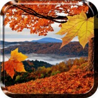 Falling Leaves Live Wallpaper