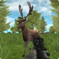 Hunter Animals In The Forest