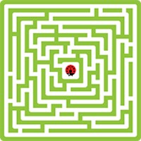 Maze King