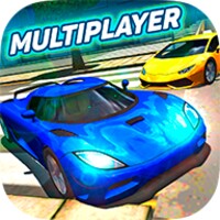 Multiplayer Driving Simulator