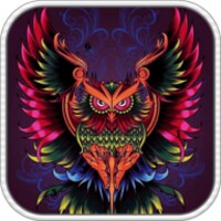 Adult Coloring Book