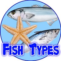 Fish Types
