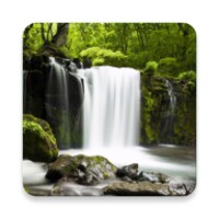 Relax Forest