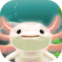 Axolotl Pet