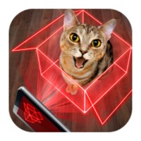 Hologram for cats. Simulator