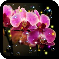 Orchid HD live wallpaper