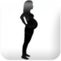 Pregnancy watcher widget