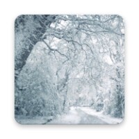 Snowfalling Live Wallpapers
