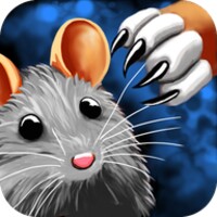 Cat Mouse Toy