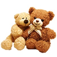 Teddy Bear Live Wallpaper