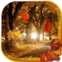 Autumn Forest live wallpaper