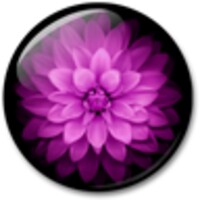 Flowers HD Live Wallpaper
