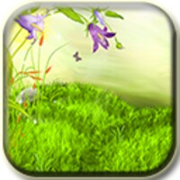 The sparkling flowers