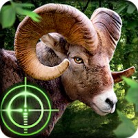 Wild Hunter