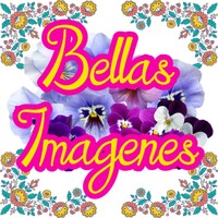 Bellas Imagenes